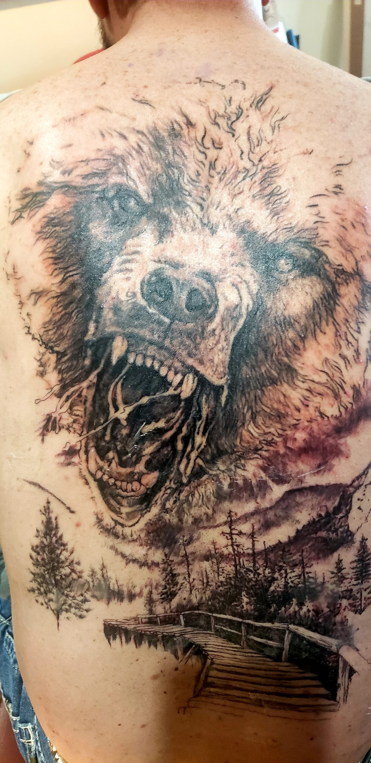 Shawn Wilken |, image size:1244x2560